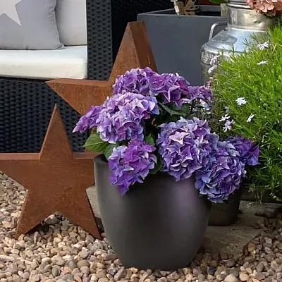 IDEALIST Lite Contemporary Light Concrete Egg Planter