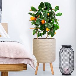 IDEALIST Lite Plaited Style Cylinder Planter on Legs, Round Pot Plant Stand Indoor