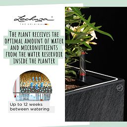 LECHUZA CANTO Slatestone High Square Tall Poly Resin Self-watering Planter