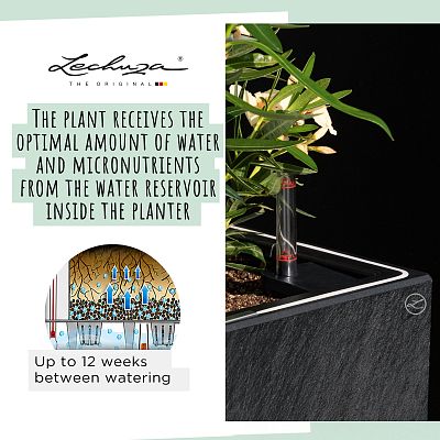 LECHUZA CANTO Slatestone High Square Tall Poly Resin Self-watering Planter