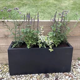 IDEALIST Lite Contemporary Light Concrete High Trough Planter