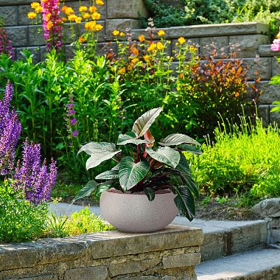 IDEALIST Lite Textured Concrete Effect Bowl Outdoor Planter