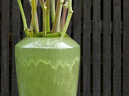 Ceramic Lime Round Tall Glossy Planter Pot In/Out