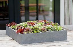 Square Fiberstone Low Planter by Idealist Premium JUMBO