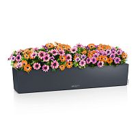 LECHUZA BALCONERA Color 100 Slate Poly Resin Window Box Self-watering ...