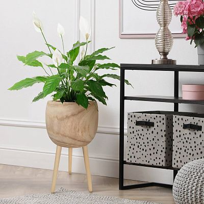 HORTICO TREND Wooden House Planter with Legs, Tall Indoor Plant Pot Stand with Waterproof Liner