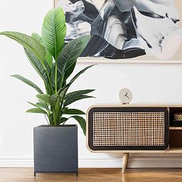 IDEALIST Lite Hammered Stone Style Square Indoor Planter on Metal Stand