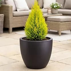 IDEALIST Lite Contemporary Light Concrete Egg Planter