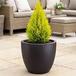 IDEALIST Lite Contemporary Light Concrete Egg Planter