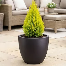 IDEALIST Lite Contemporary Light Concrete Egg Planter