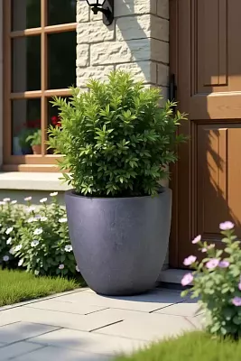 IDEALIST Lite Contemporary Light Concrete Egg Planter