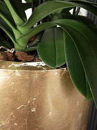 Luxe Lite Glossy Tall Indoor Planter