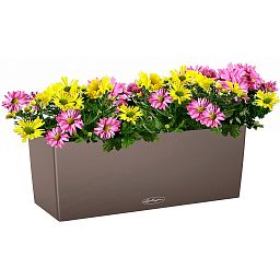 LECHUZA BALCONERA Color Trough Poly Resin Self-watering Planter