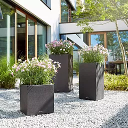 LECHUZA CANTO Stone Low Square Poly Resin Self-watering Planter
