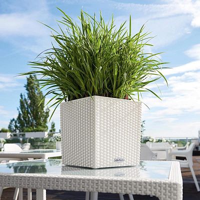 LECHUZA CUBE Cottage Square Poly Resin Self-watering Planter
