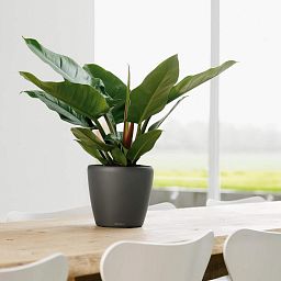 LECHUZA CLASSICO Round Poly Resin Planter Only