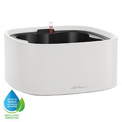 LECHUZA PILA Color Stick Square Poly Resin Self-watering Planter