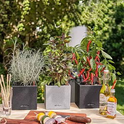 LECHUZA CANTO Stone Low Square Poly Resin Self-watering Planter Set