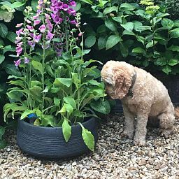 IDEALIST Lite Ribbed Light Concrete Bowl Planter
