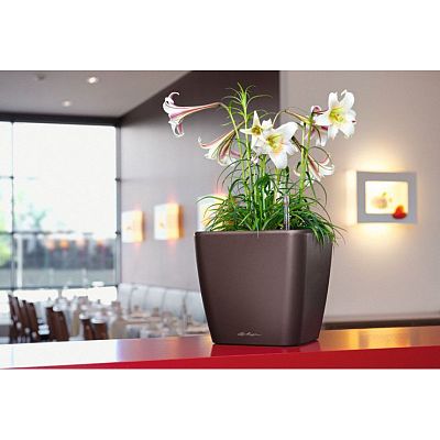 LECHUZA Quadro LS Square Poly Resin Self-watering Planter