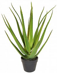 Aloe with Pot Artificial Flower Plant 
