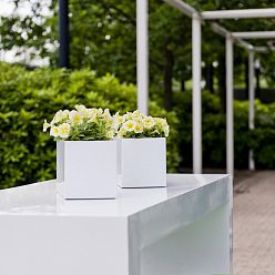 Fiberstone Glossy Fleur Light Planter by Idealist Premium