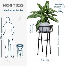 Modern Farmhouse Wire Basket Plant Stand