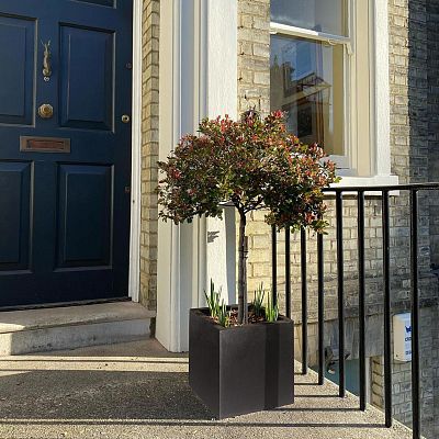 IDEALIST Lite Square Box Contemporary Light Concrete Planter