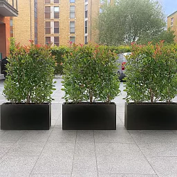 IDEALIST Lite Contemporary Light Concrete Trough Planter