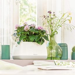 LECHUZA YULA Plant Bag Trough Poly Resin Indoor Self-watering Planter