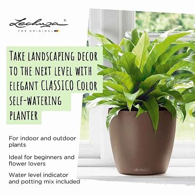 LECHUZA CLASSICO Color Round Poly Resin Self-watering Planter