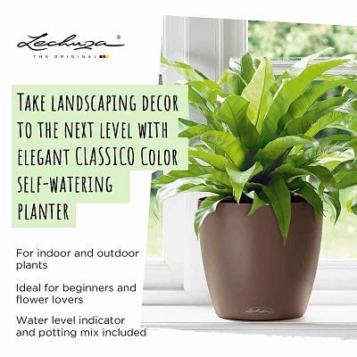 LECHUZA CLASSICO Color Round Poly Resin Self-watering Planter