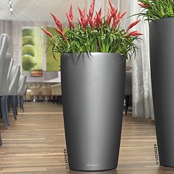 LECHUZA Rondo Round Tall Poly Resin Self-watering Planter