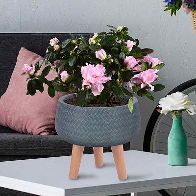 IDEALIST Lite Plaited Style Bowl Planter on Legs, Round Pot Plant Stand Indoor IDEALIST Lite Plaited Style Bowl Planter on Legs, Round Pot Plant Stand Indoor