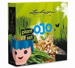 Grow your own Set LECHUZA (PON, Plate, Wheat grass seeds)