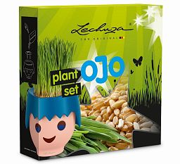 Grow your own Set LECHUZA (PON, Plate, Wheat grass seeds)