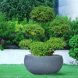 IDEALIST Lite Classic Smooth Bowl Outdoor Planter