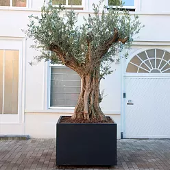 Florida Outdoor Aluminum Square Planter