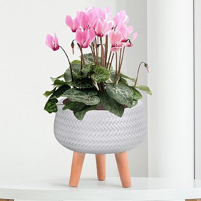 IDEALIST Lite Plaited Style Bowl Planter on Legs, Round Pot Plant Stand Indoor