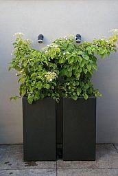 PURE High Cube Outdoor Fiberglass Planter