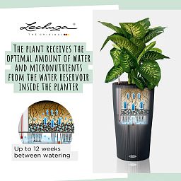 LECHUZA CILINDRO Color Round Tall Poly Resin Self-watering Planter