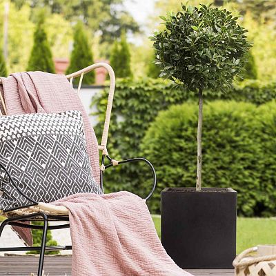 IDEALIST Lite Square Box Contemporary Light Concrete Planter Set