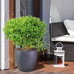 IDEALIST Lite Contemporary Light Concrete Egg Planter