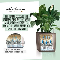 LECHUZA CUBE Square Poly Resin Self-watering Planter
