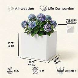 IDEALIST Lite Square Box Contemporary Light Concrete Planter