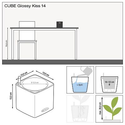 LECHUZA CUBE Glossy Kiss Square Poly Resin Indoor Self-watering Planter