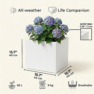 IDEALIST Lite Square Box Contemporary Light Concrete Planter