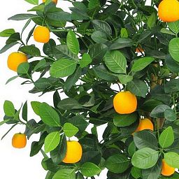 ORANGE TREE Artifcial Tree Plant