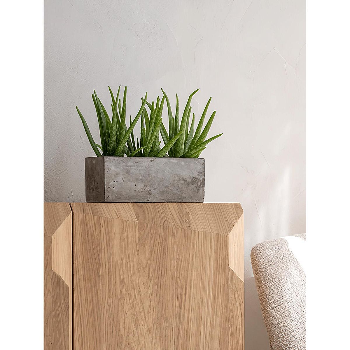 Concrete Alice Rectangle Planter by Idealist Premium