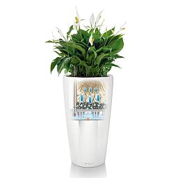 LECHUZA Rondo Round Tall Poly Resin Self-watering Planter